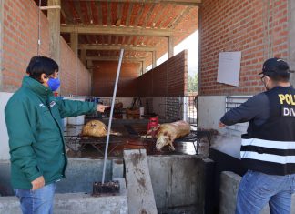 Junín: Intervienen matadero clandestino en Sapallanga