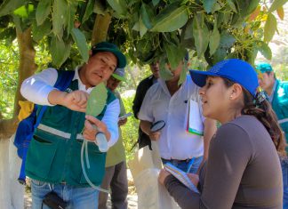 Miles de agricultores ya aplican control biológico para manejo de plagas