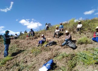 Productores de Otuzco fortalecen capacidades en la producción de papa