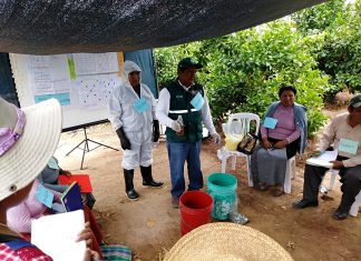 Promueven uso de controladores biológicos en escuelas de campo de agricultores de uva y zapallo