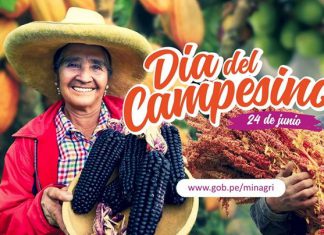 Productores celebran “Día del Campesino” con ventas de productos, conferencias y reconocimientos