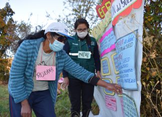 Cusco: Productores de maíz mejoran producción mediante la aplicación de buenas prácticas agrícolas