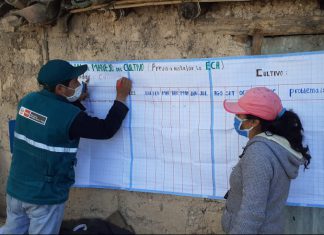 Escuelas de campo del MINAGRI benefician a pequeños productores de maíz en Vilcashuaman