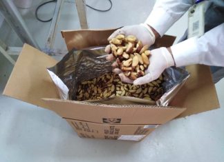 Madre de Dios: Producción de castaña se posiciona en mercados internacionales