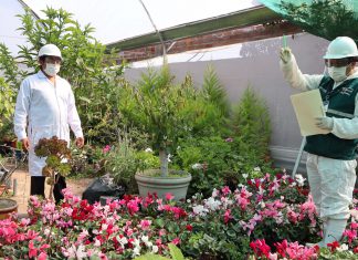 Junín: Seguimiento de cuarentena posentrada resguarda la sanidad agraria del país