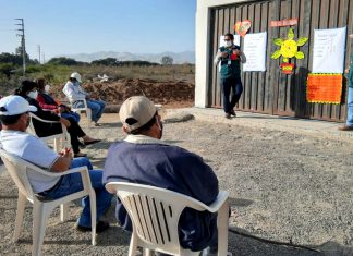Escuelas de campo fortalecen las capacidades de pequeños productores de la región Ica
