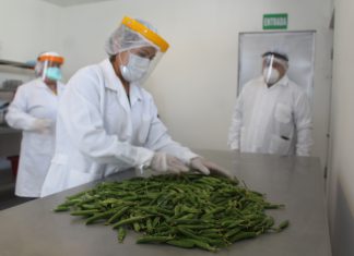 Arequipa: MINAGRI verifica inocuidad en plantas procesadoras de alimentos en Arequipa