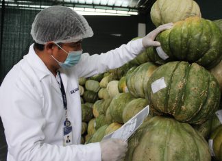 Tacna: Exportaciones de productos agrícolas superaron las 17 mil toneladas