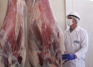 Lambayeque: Mejorarán condiciones sanitarias de matadero municipal del distrito José Leonardo Ortiz