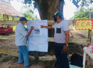 Ucayali: Desarrollan espacios de interaprendizaje con productores de la agricultura familiar