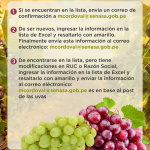 Post – exportacion de uvas a paises asiaticos-03