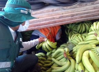 MINAGRI: Acciones en puestos de control del norte evitan ingreso de productos sin autorización