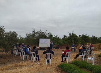 MINAGRI continúa fortaleciendo las capacidades de pequeños productores de Tacna