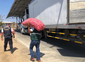 Tumbes: MINAGRI fortalece acciones para prevenir ingreso irregular de productos agropecuarios al país