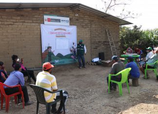 Lambayeque: MINAGRI reconoce a productores de maíz como expertos en buenas prácticas agrícolas