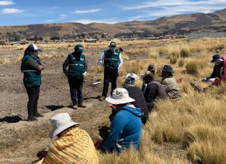 Puno: MINAGRI fortalece los conocimientos de productores en 37 escuelas de campo
