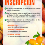 recomendaciones para inscripción_fb_1