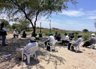 Piura: Pequeños productores mejoran producción de sus cultivos aplicando las Buenas Prácticas Agrícolas (BPA)