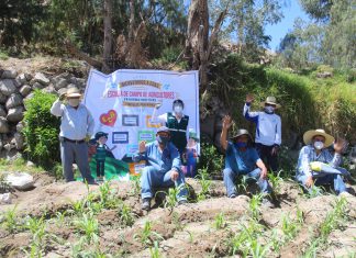 Arequipa: MINAGRI prepara a facilitadores de gobiernos locales para implementación de nuevas Escuelas de Campo