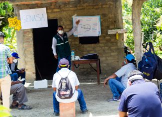 Productores de Piura se organizan para la erradicación de las Moscas de la fruta