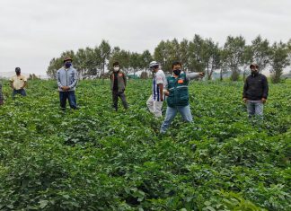 Implementan dieciséis nuevas Escuelas de Campo para atención de la agricultura familiar de La Libertad