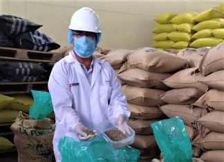 Productores de la Selva Central continúan posicionando café en granos en mercados internacionales