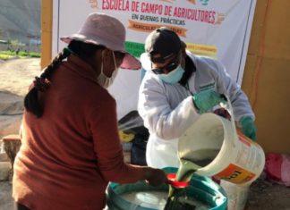 MINAGRI promueve el uso de controladores biológicos para mejorar agricultura familiar en Moquegua