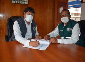 Cusco: SENASA y autoridades locales se unen para erradicar las moscas de la fruta en el valle sagrado