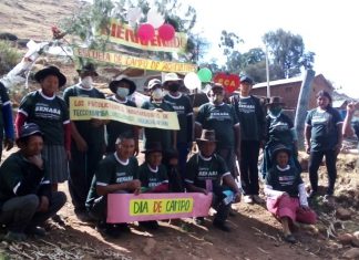 Ayacucho: MINAGRI reconoce a 35 productores de maíz como especialistas en buenas prácticas agrícolas