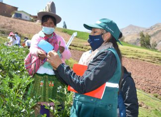 MINAGRI graduará a 168 productores de papa como expertos en Buenas Prácticas Agrícolas
