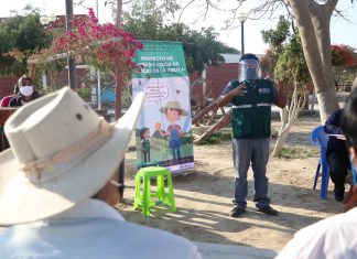 Apurímac: Más de 4 mil productores de valles interandinos son capacitados para el control de moscas de la fruta