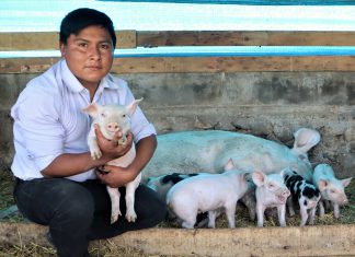 Historia de éxito: “La crianza de traspatio, una oportunidad para emprendedores en regiones”