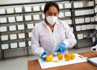 MINAGRI implementa laboratorios con miras a la erradicación de mosca de la fruta en la región Piura