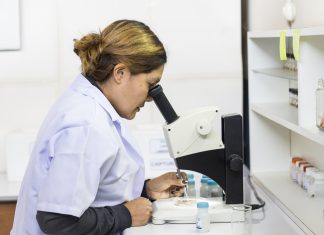 Cajamarca: SENASA implementa laboratorios con miras a la erradicación de mosca de la fruta