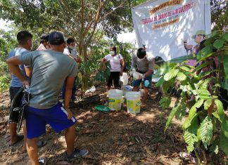 Pasco: Productores de comunidades nativas usan controladores biológicos en la producción de sus cultivos