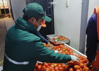 Puno: Orientan a productores sobre procesos y requisitos para exportación de productos agrícolas a Bolivia