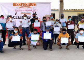 La Libertad: MINAGRI certifica productores de piña en Buenas Prácticas Agrícolas