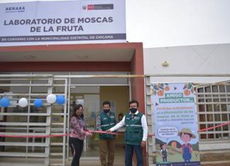 MINAGRI implementa laboratorio de moscas de la fruta en Ascope