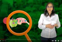 Manipulación de alimentos