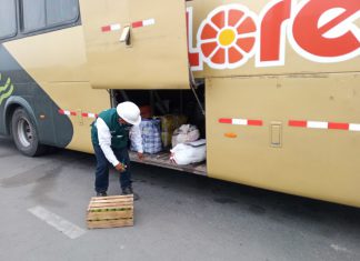 Puesto de control del SENASA resguarda zonas en erradicación de moscas de la fruta