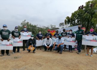 Tumbes: SENASA y productores de limón comprometidos con la implementación de las Buenas Prácticas Agrícolas