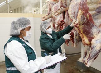 SENASA recomienda se adopten procedimientos que garanticen la inocuidad de la carne en matadero de Chota