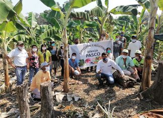 Comunidades nativas de Pasco mejorarán producción con Buenas Prácticas Agrícolas