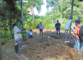 Loreto: Productores de plátano se gradúan como expertos en Buenas Prácticas Agrícolas