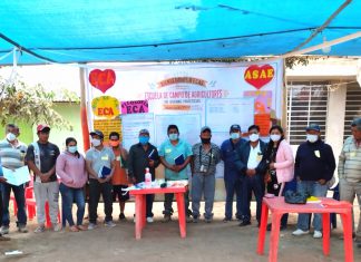 La Libertad: MIDAGRI mejorará buenas prácticas ganaderas en la crianza de cerdos