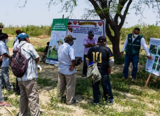 SENASA y productores coordinan acciones para la erradicación de moscas de la fruta en Piura