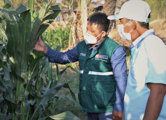 MIDAGRI: Más escuelas de campo en beneficio de la agricultura familiar de Lambayeque