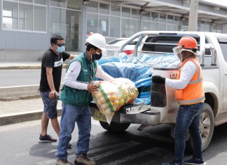 Piura: Implementarán nuevos puestos de control para erradicar las moscas de la fruta