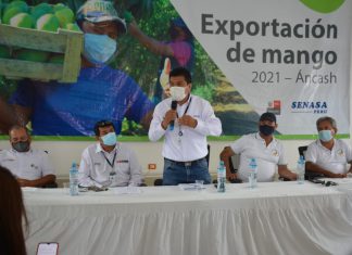 SENASA y productores de Áncash aperturan Campaña de Exportación de Mango 2021