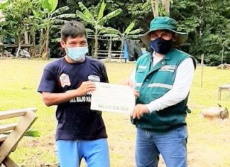 Loreto: Escuela de campo del SENASA promueve uso de control biológico en producción de plátano